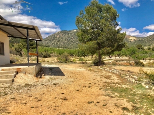El Derramao Vinalopó Mitjà tomt foto 6226758