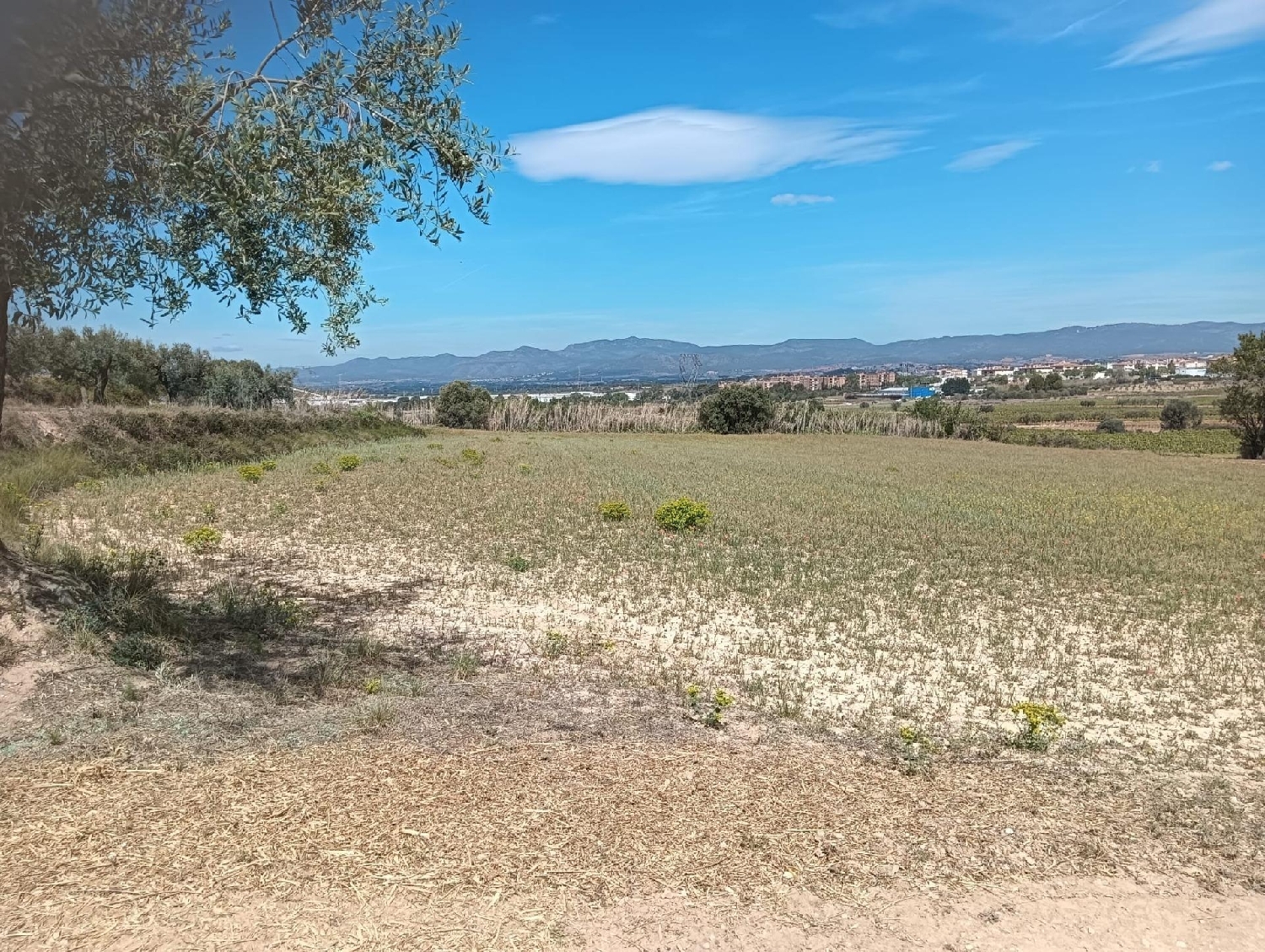 till salu tomt Casetes De Puigmolto Baix Penedès 8