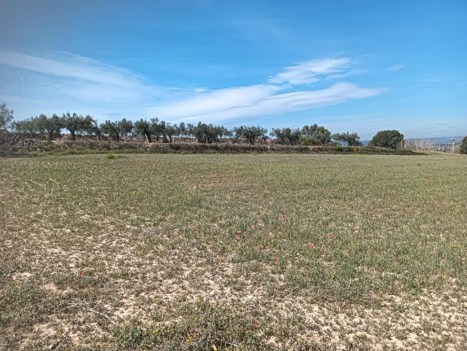  till salu tomt Casetes De Puigmolto Baix Penedès 7