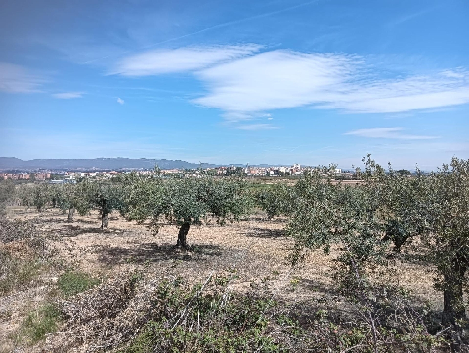  till salu tomt Casetes De Puigmolto Baix Penedès 5