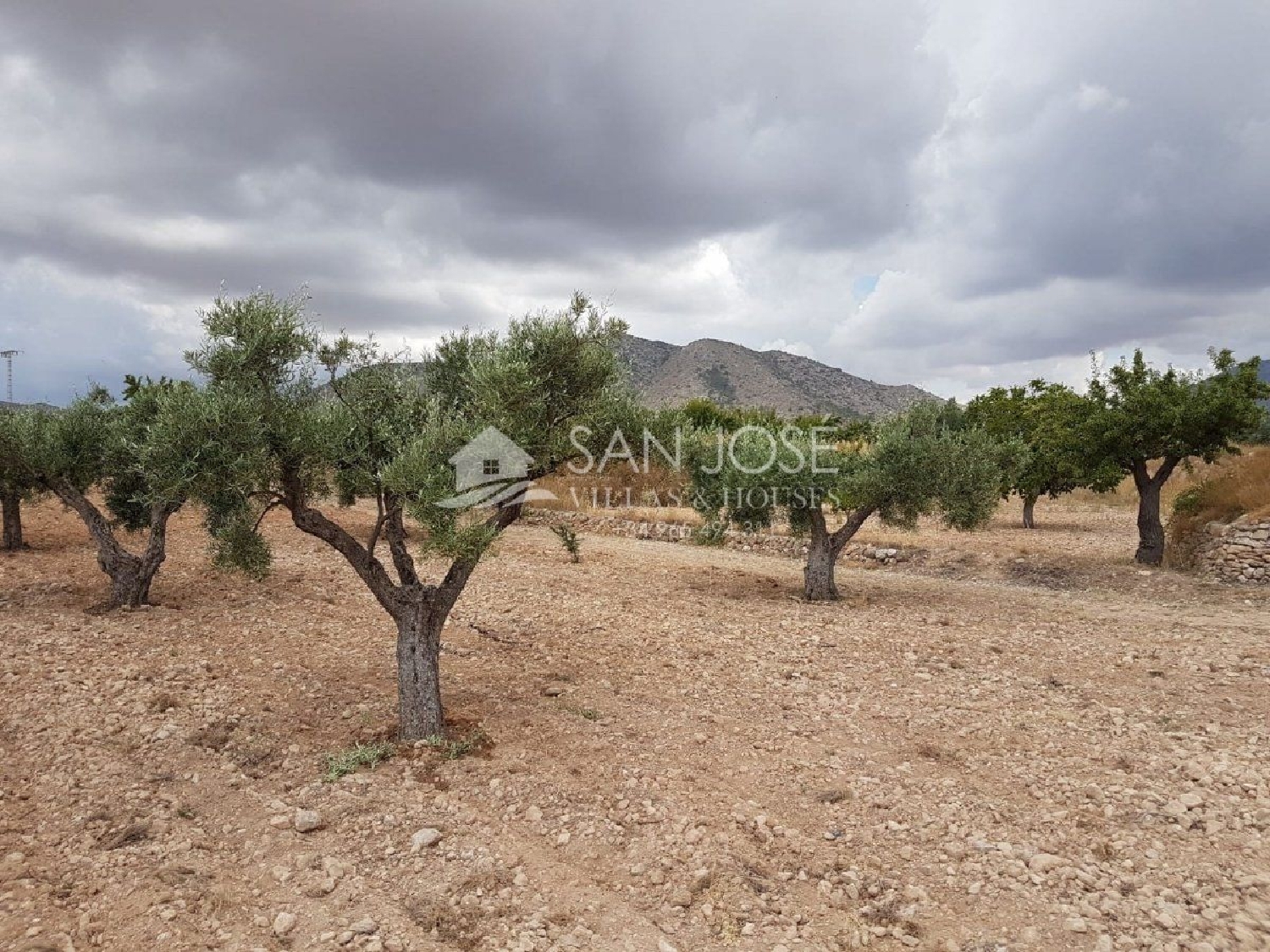  till salu tomt Casicas Baix Vinalopó 1
