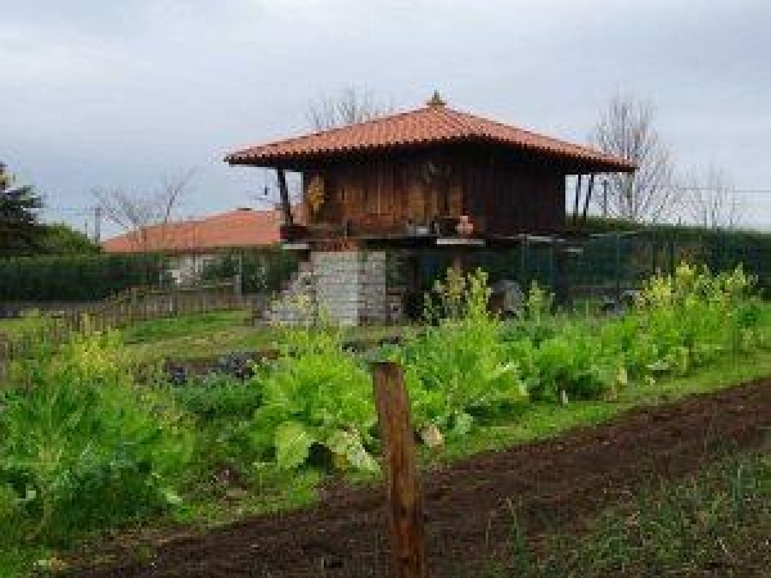  till salu tomt El Pascual Oviedo 1