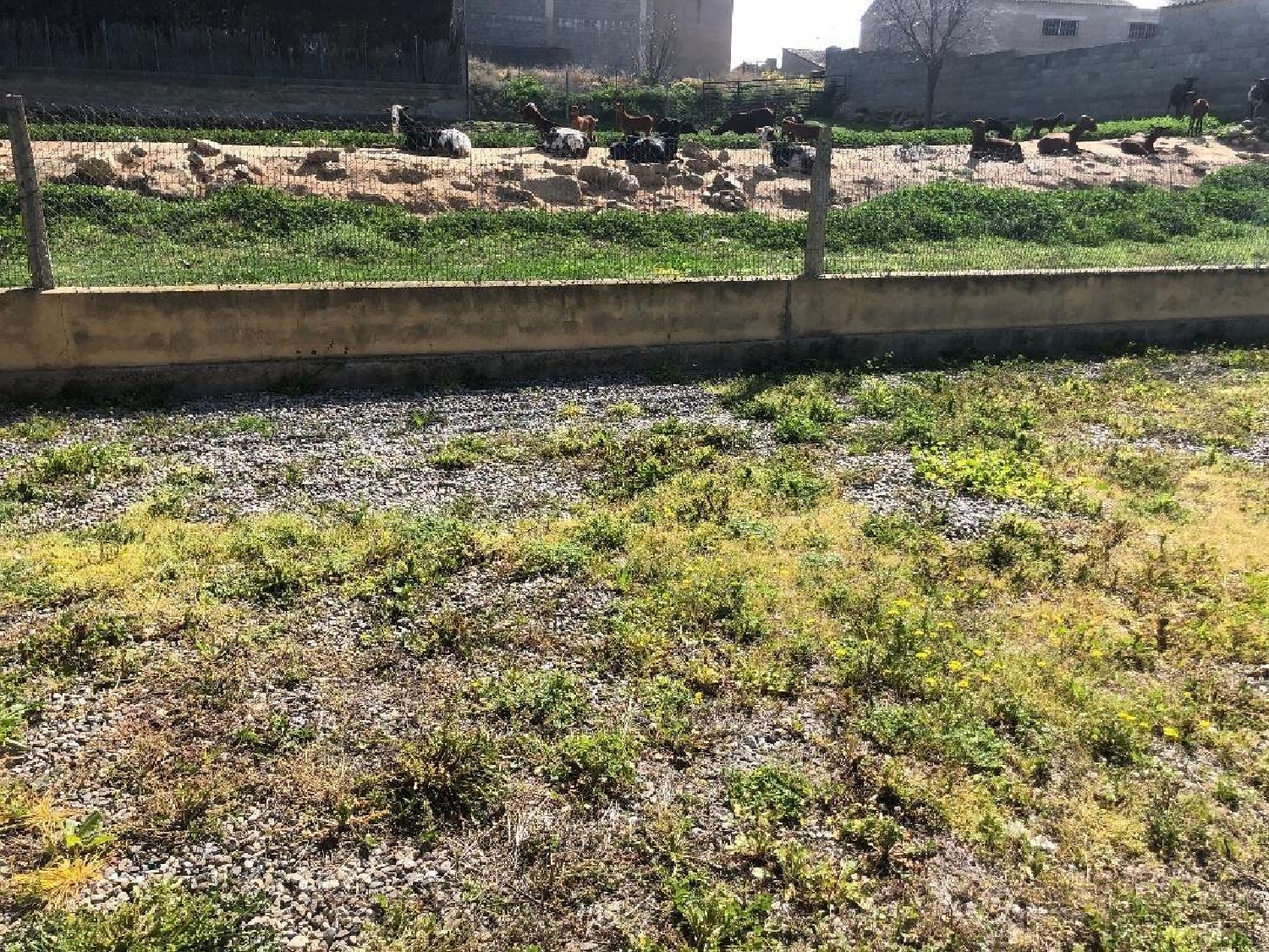  till salu tomt Castejón Del Puente Somontano De Barbastro 5