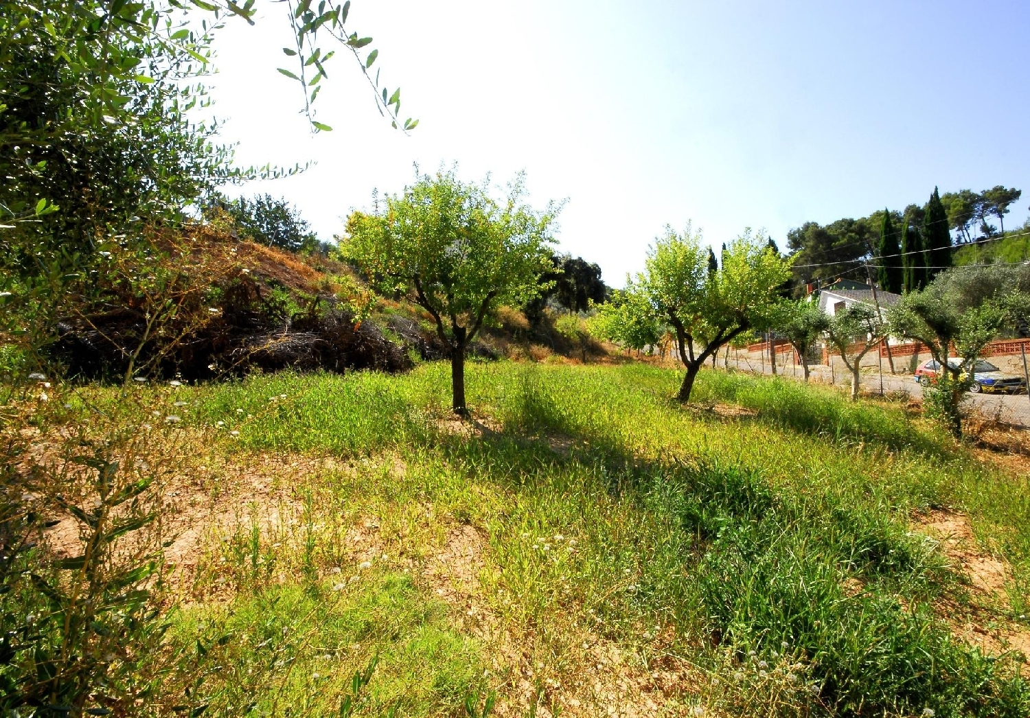  till salu tomt Castell Cabrera Anoia 1