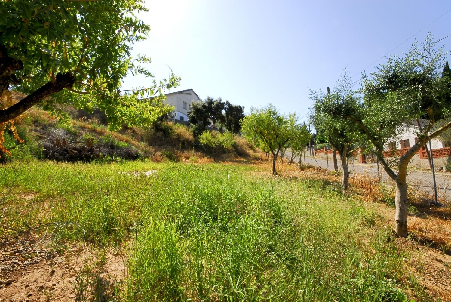  till salu tomt Castell Cabrera Anoia 8