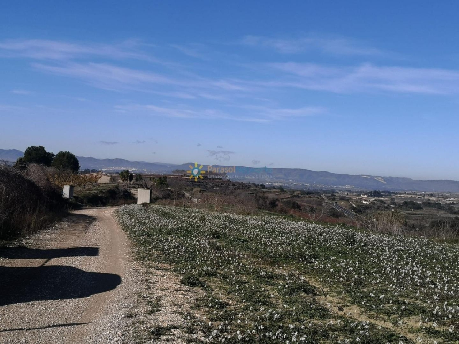  till salu tomt Castelló De Rugat Vall D'albaida 6