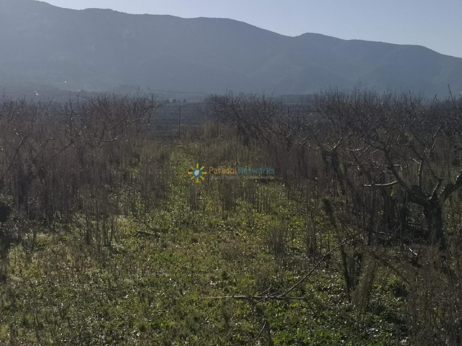 till salu tomt Castelló De Rugat Vall D'albaida 3