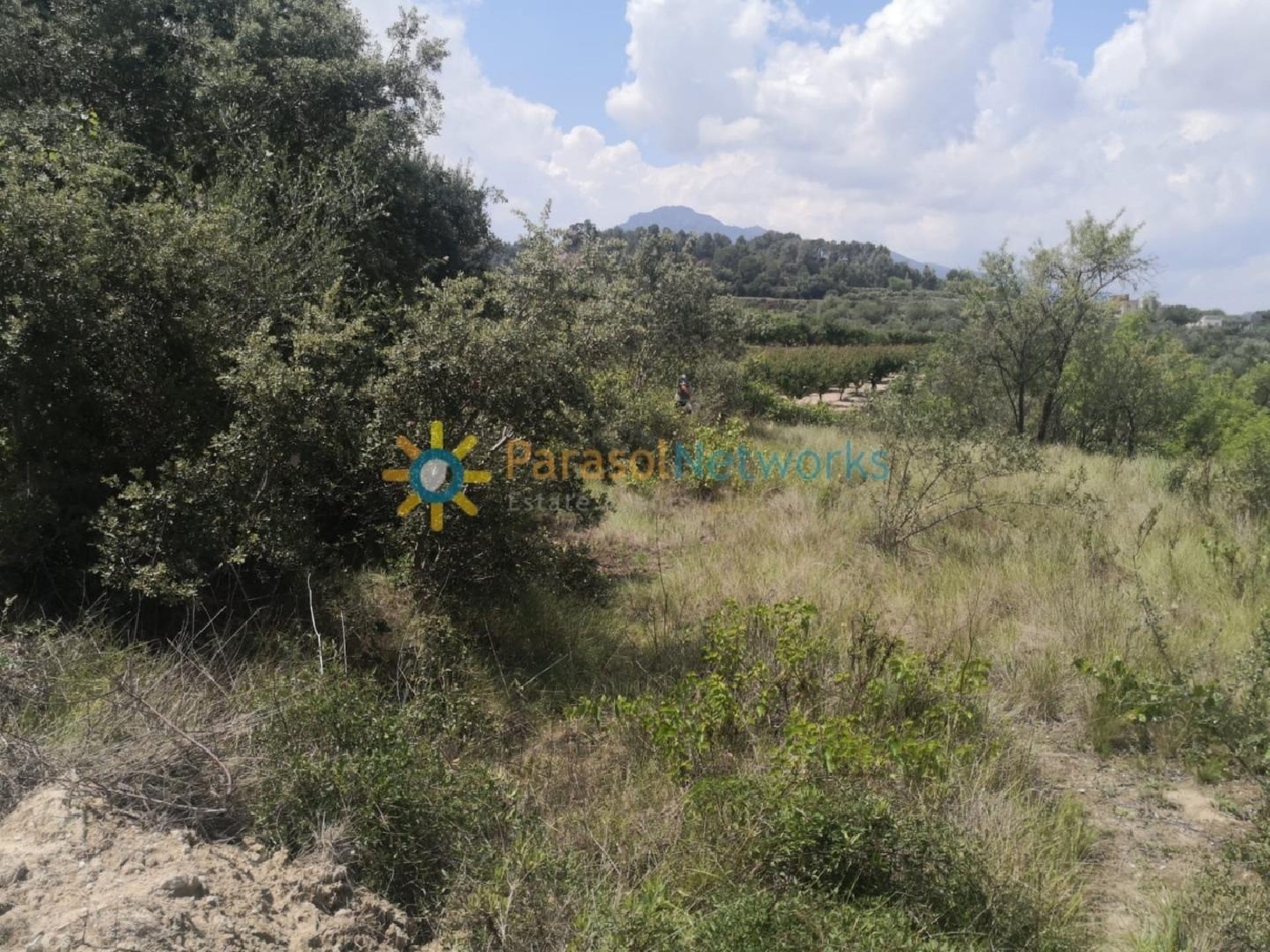 till salu tomt Castelló De Rugat Vall D'albaida 3
