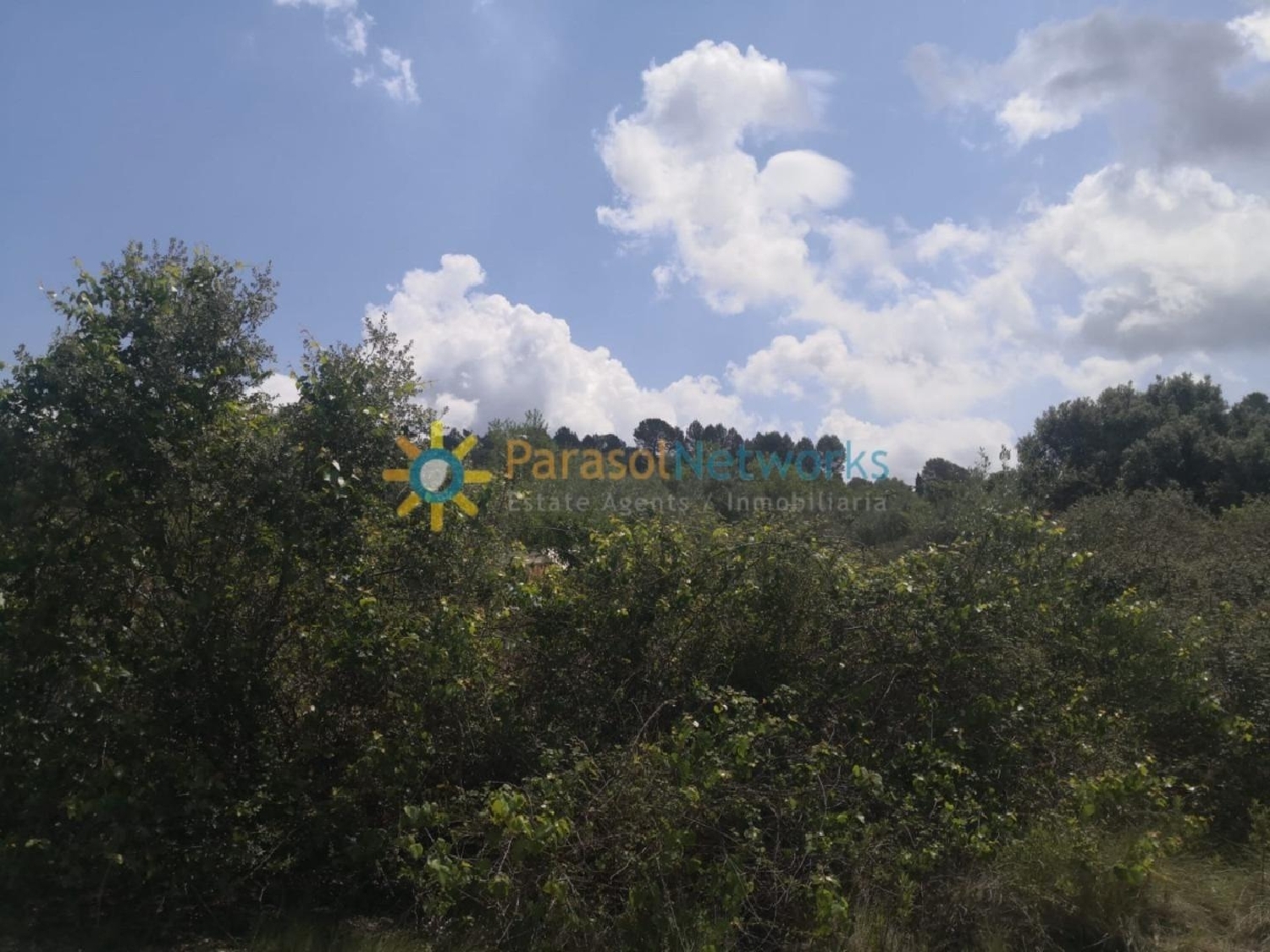  till salu tomt Castelló De Rugat Vall D'albaida 5