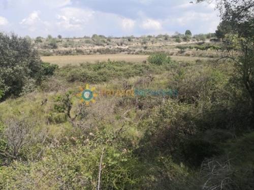 Castelló De Rugat Vall D''albaida tomt foto 6263435