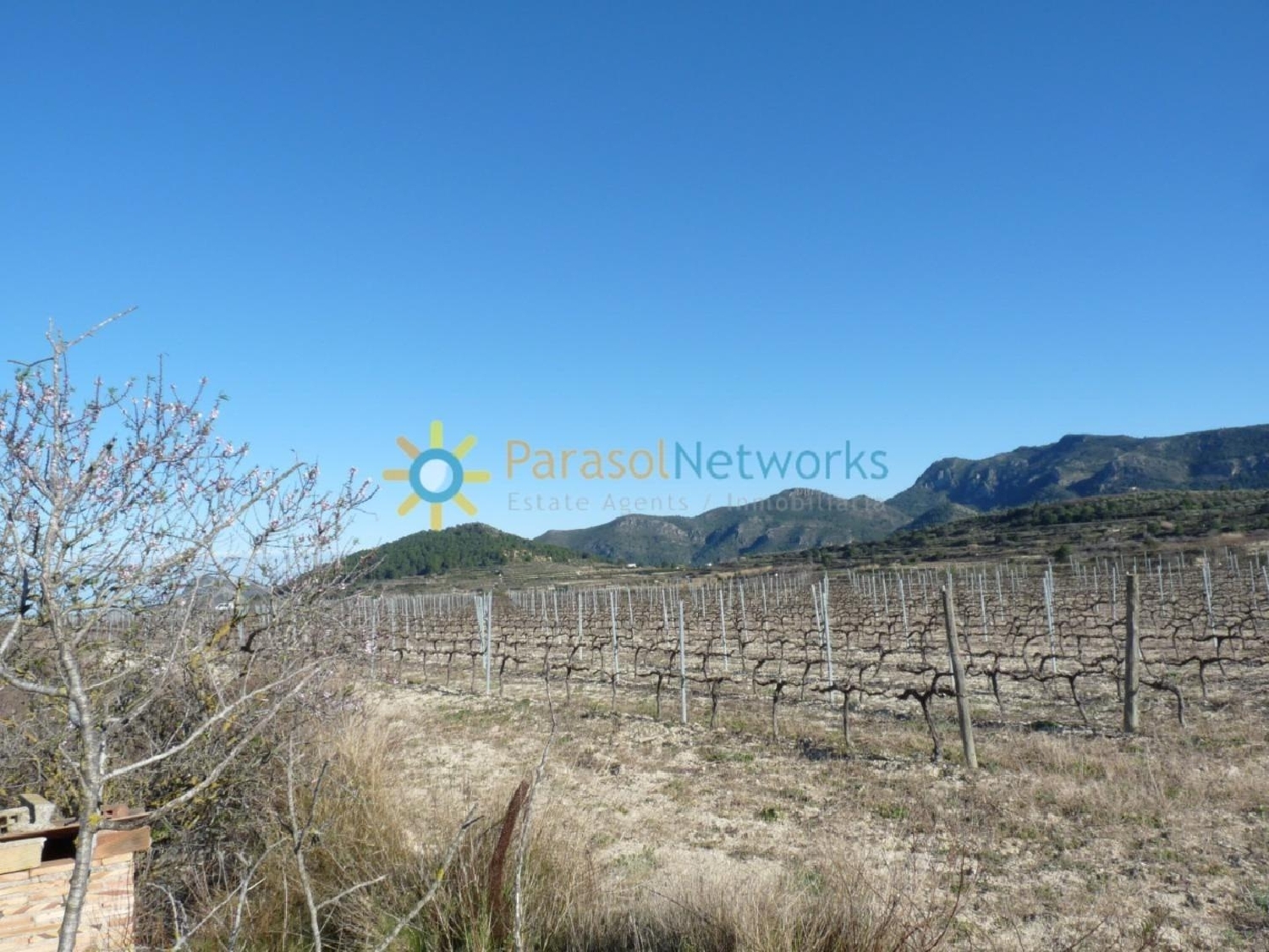  till salu tomt Castelló De Rugat Vall D'albaida 5