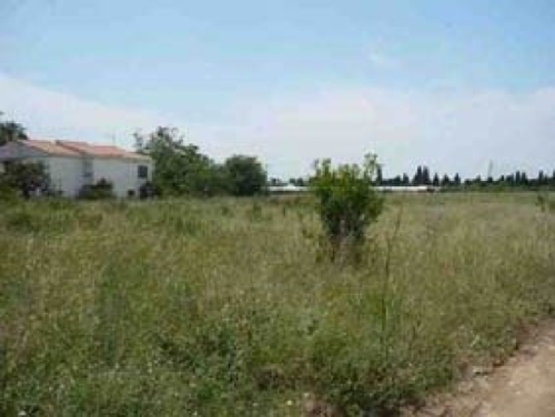 Castellón Sur 12005 Plana Alta tomt foto 6250300