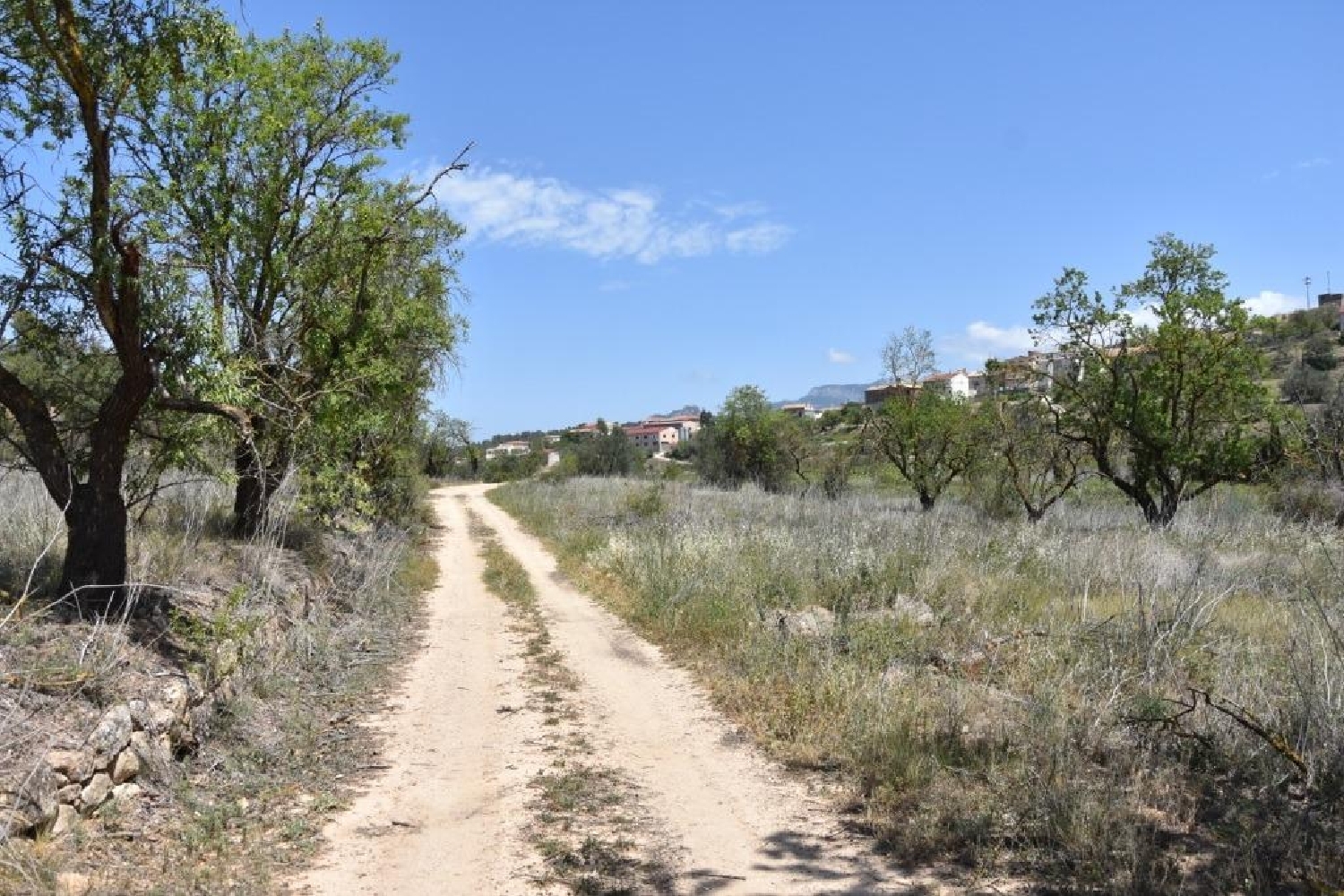  till salu tomt Castralvo Comunidad De Teruel (La) 2