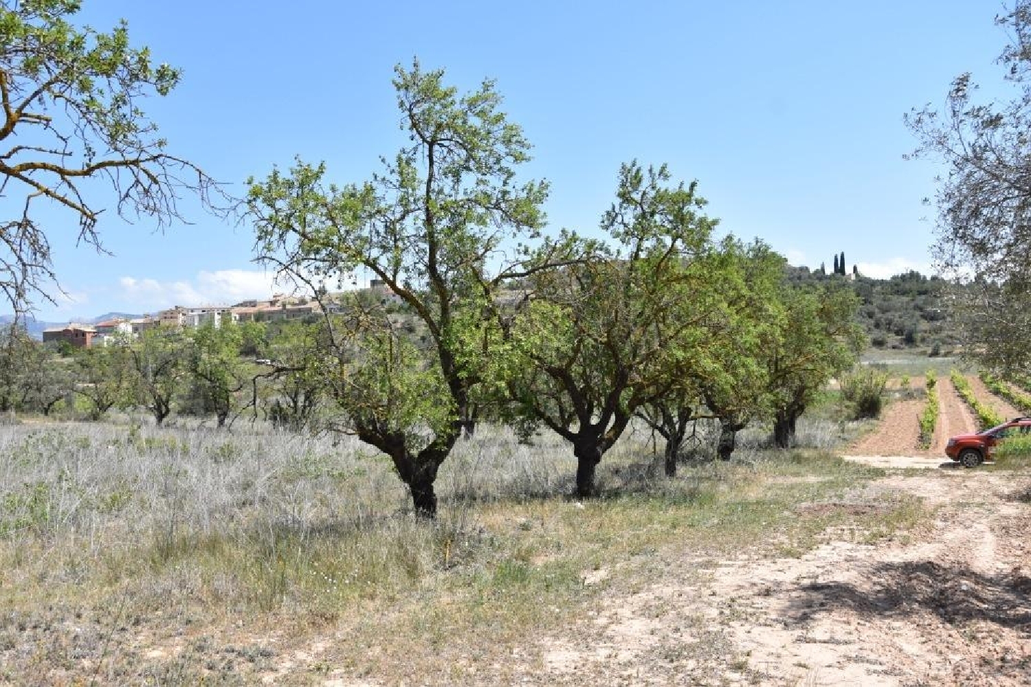  till salu tomt Castralvo Comunidad De Teruel (La) 5