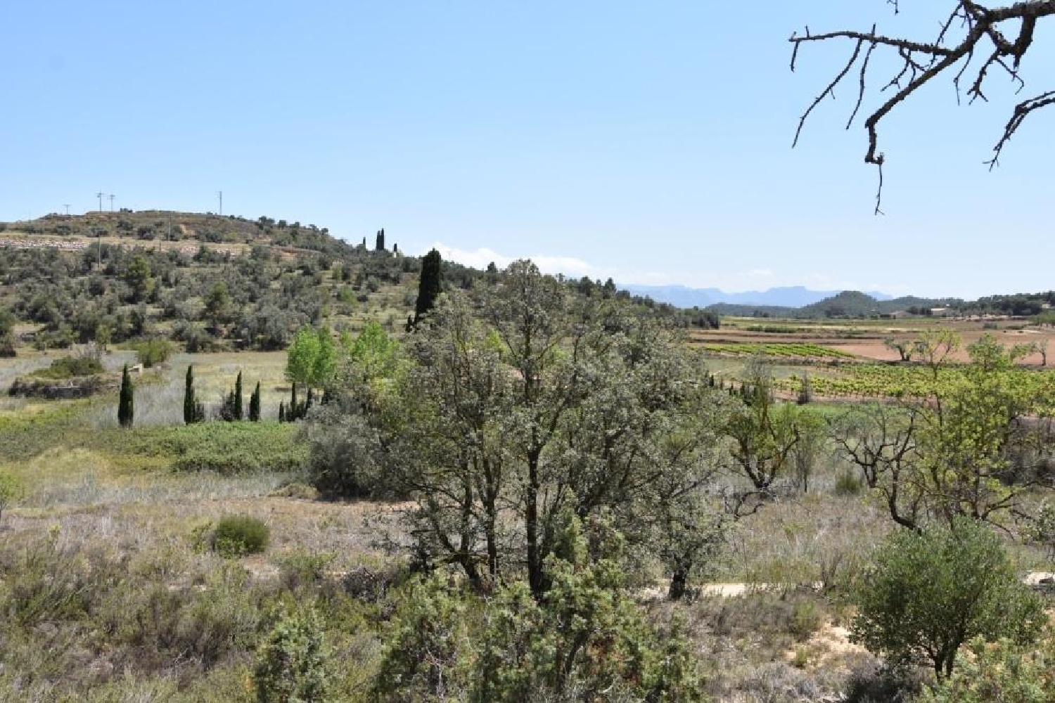  till salu tomt Castralvo Comunidad De Teruel (La) 4