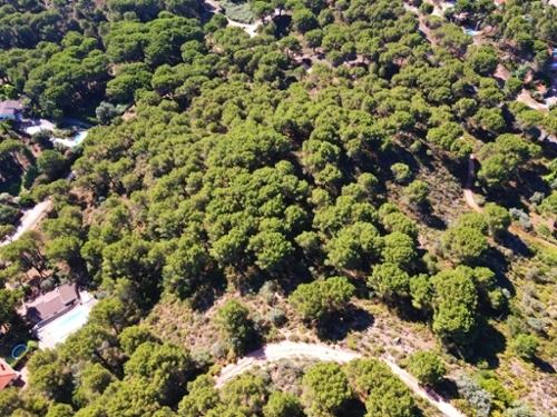 Cerro Muriano Valle Del Guadiato tomt foto 6235981