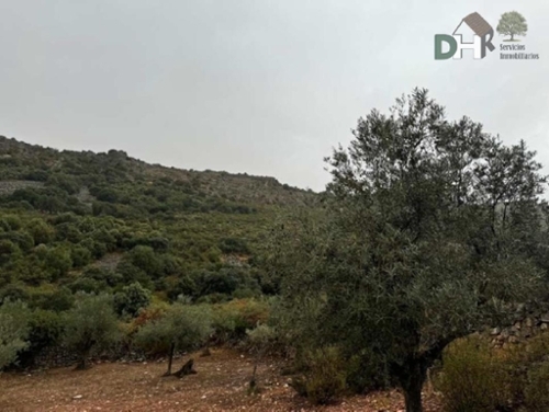 Cerros Verdes Badajoz tomt foto 6257759