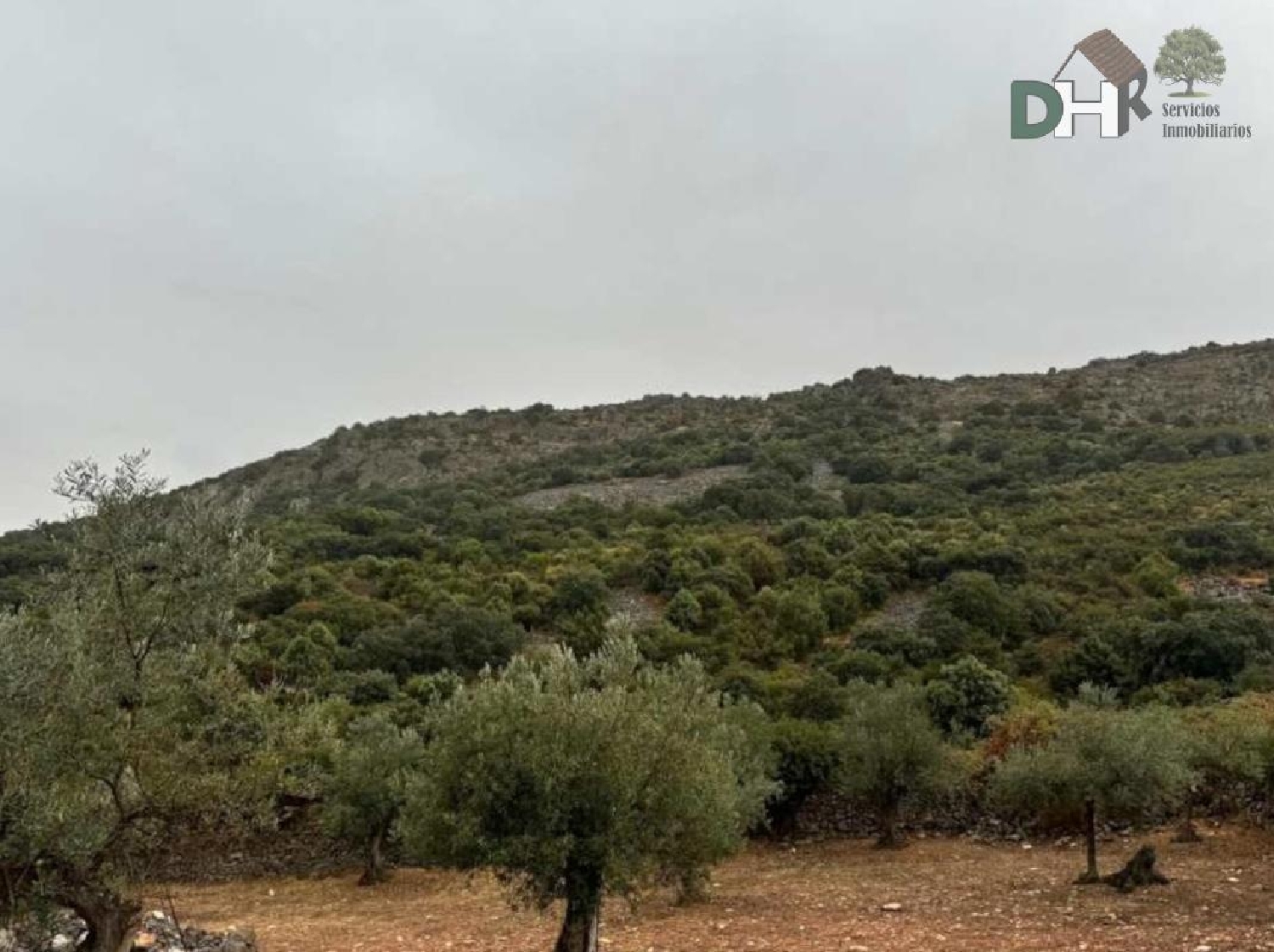 till salu tomt Cerros Verdes Badajoz 2