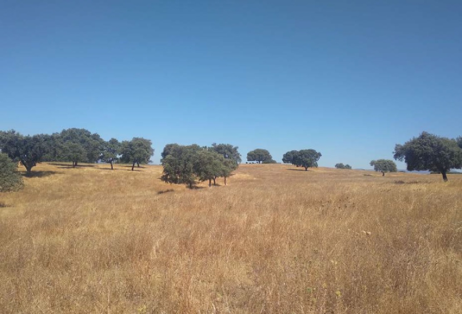 till salu tomt Cerros Verdes Badajoz 2