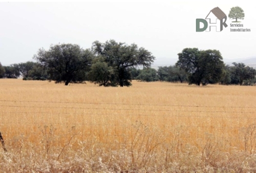 Cerros Verdes Badajoz tomt foto 6258157
