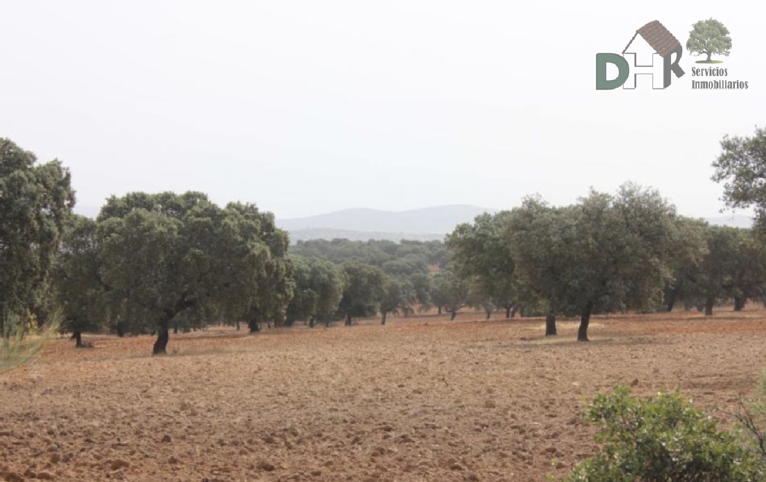  till salu tomt Cerros Verdes Badajoz 5