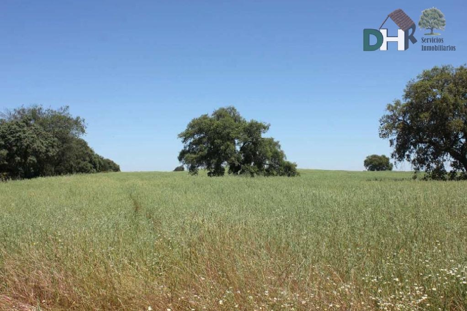  till salu tomt Cerros Verdes Badajoz 5
