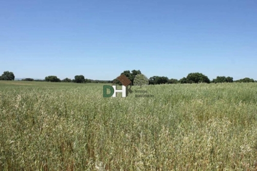 Cerros Verdes Badajoz tomt foto 6258442