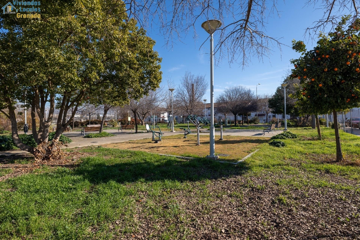  for sale plot Bobadilla Vega De Granada 6