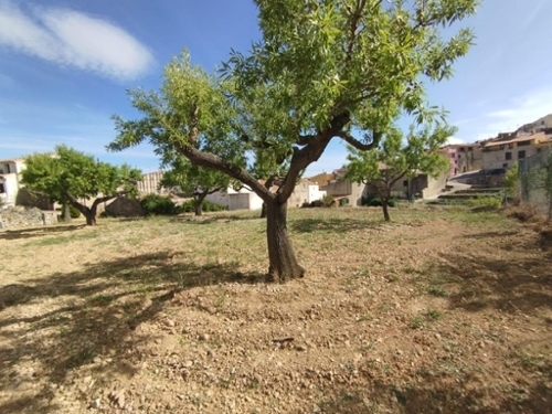 Chert Baix Maestrat tomt foto 6250790