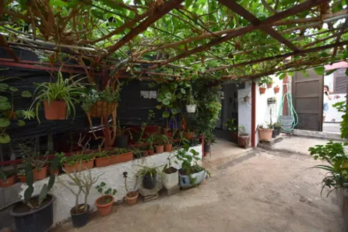 Chio Zona Suroeste tomt foto 6166153