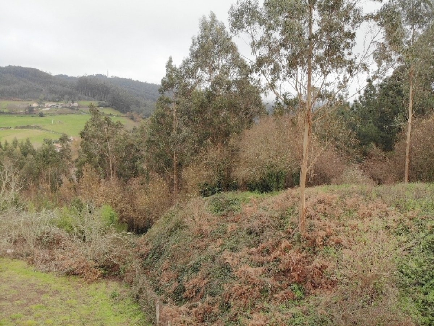  for sale plot Mandayo Betanzos 5