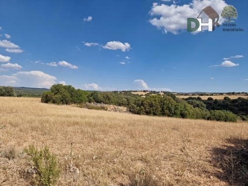 Ciudad Real Centro-El Pilar Campo De Calatrava tomt foto 6258045