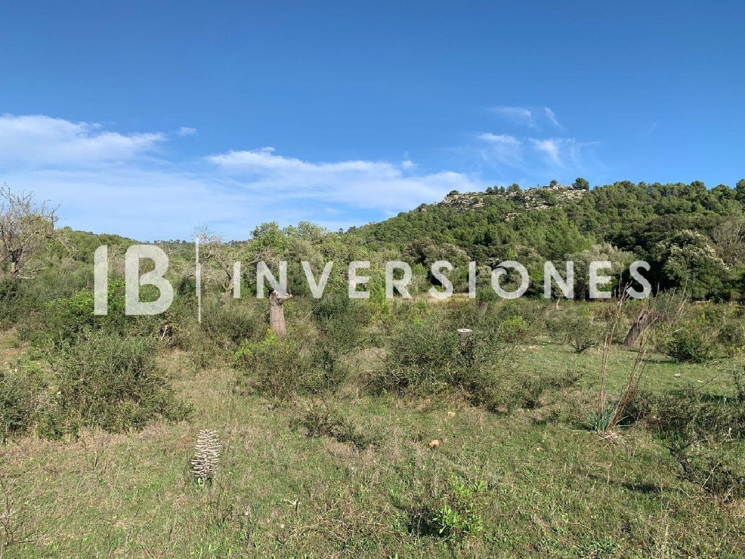  till salu tomt Ciurana Maresme 4