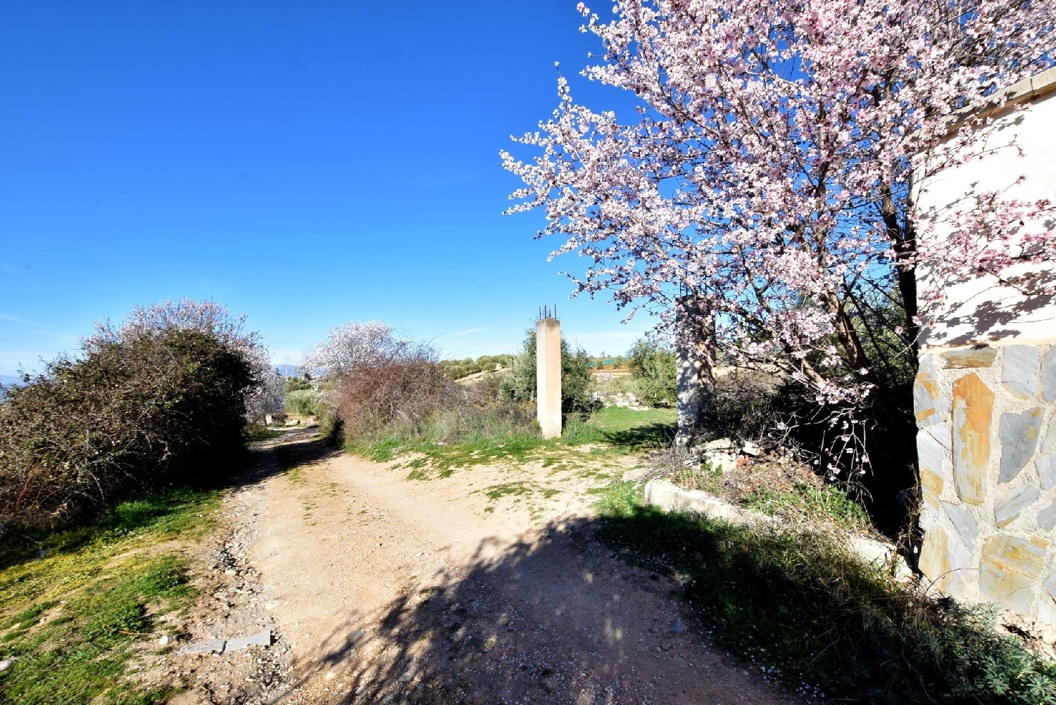 till salu tomt Cogollos Vega Vega De Granada 3