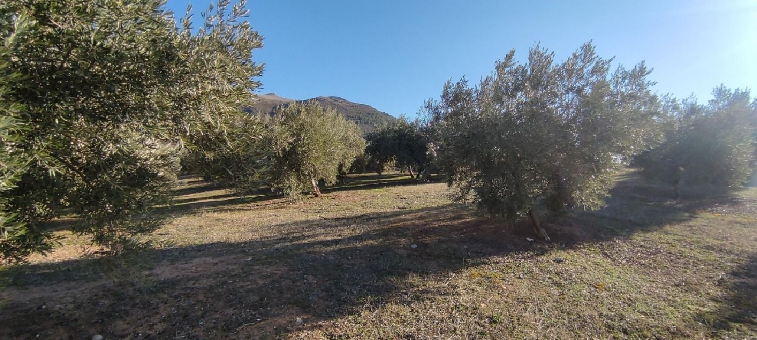  till salu tomt Cogollos Vega Vega De Granada 4