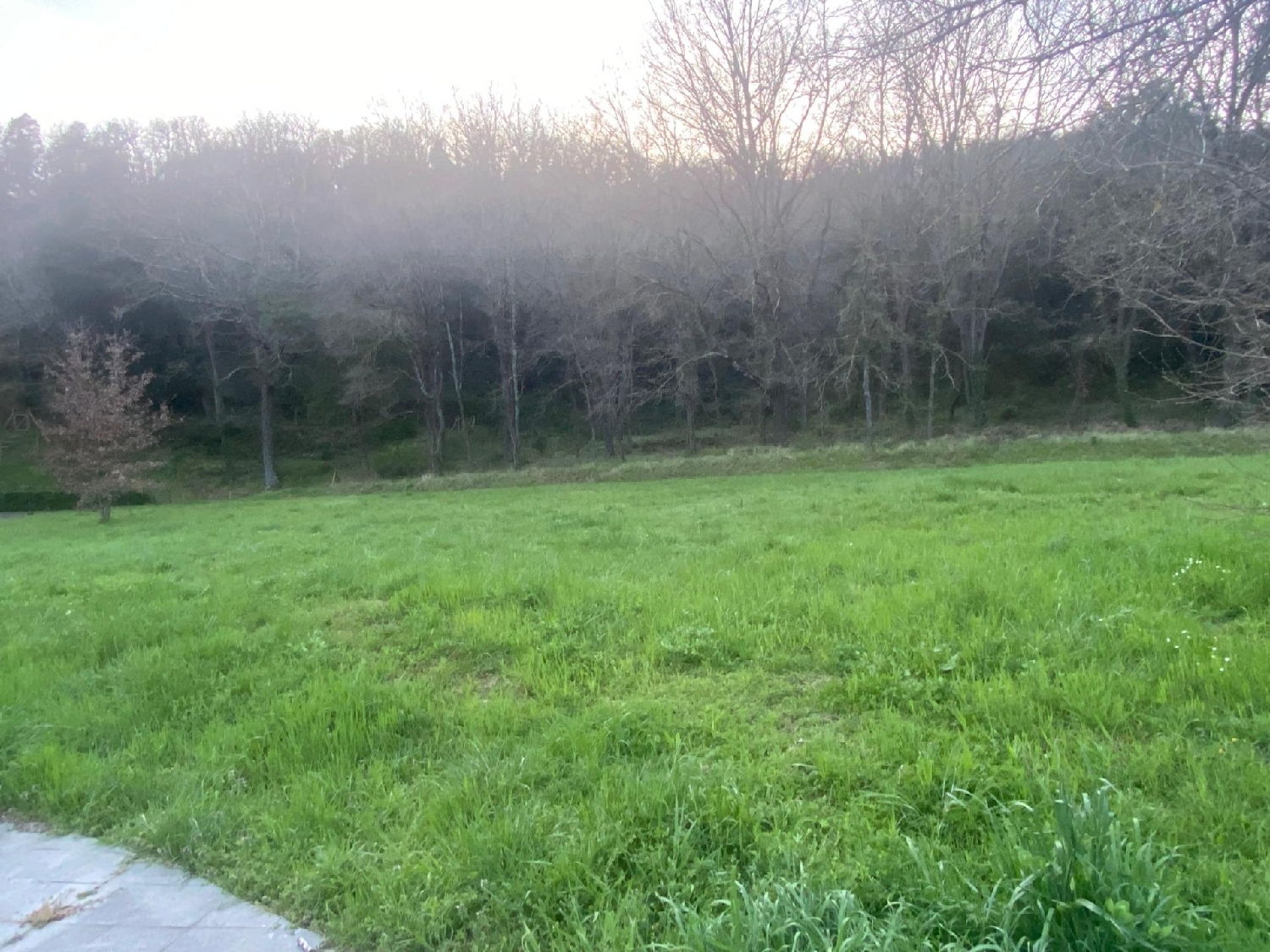  till salu tomt Cogolls Garrotxa 7
