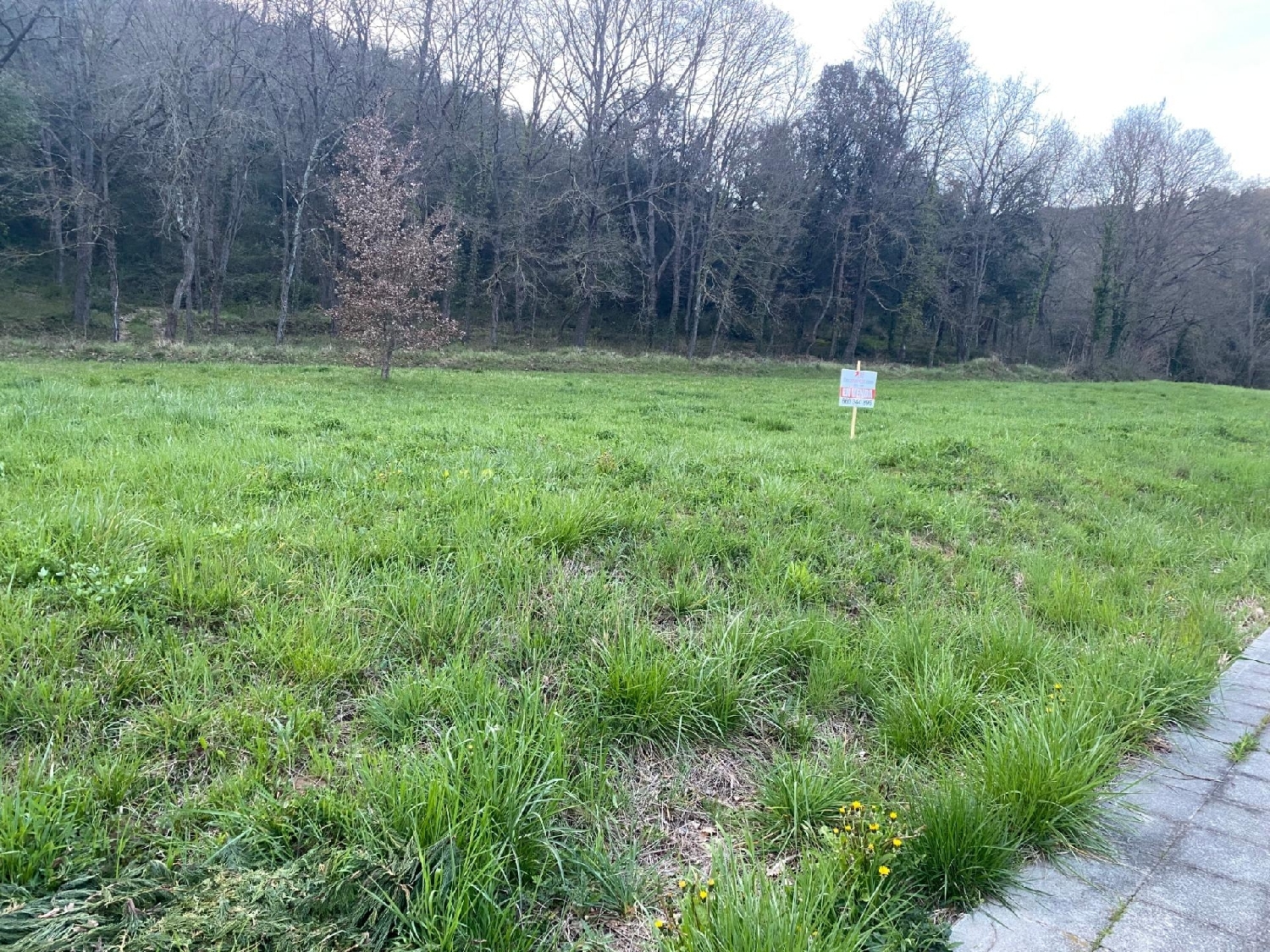 till salu tomt Cogolls Garrotxa 2