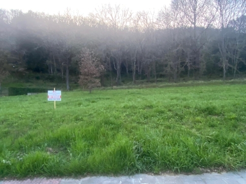 Cogolls Garrotxa tomt foto 6230105