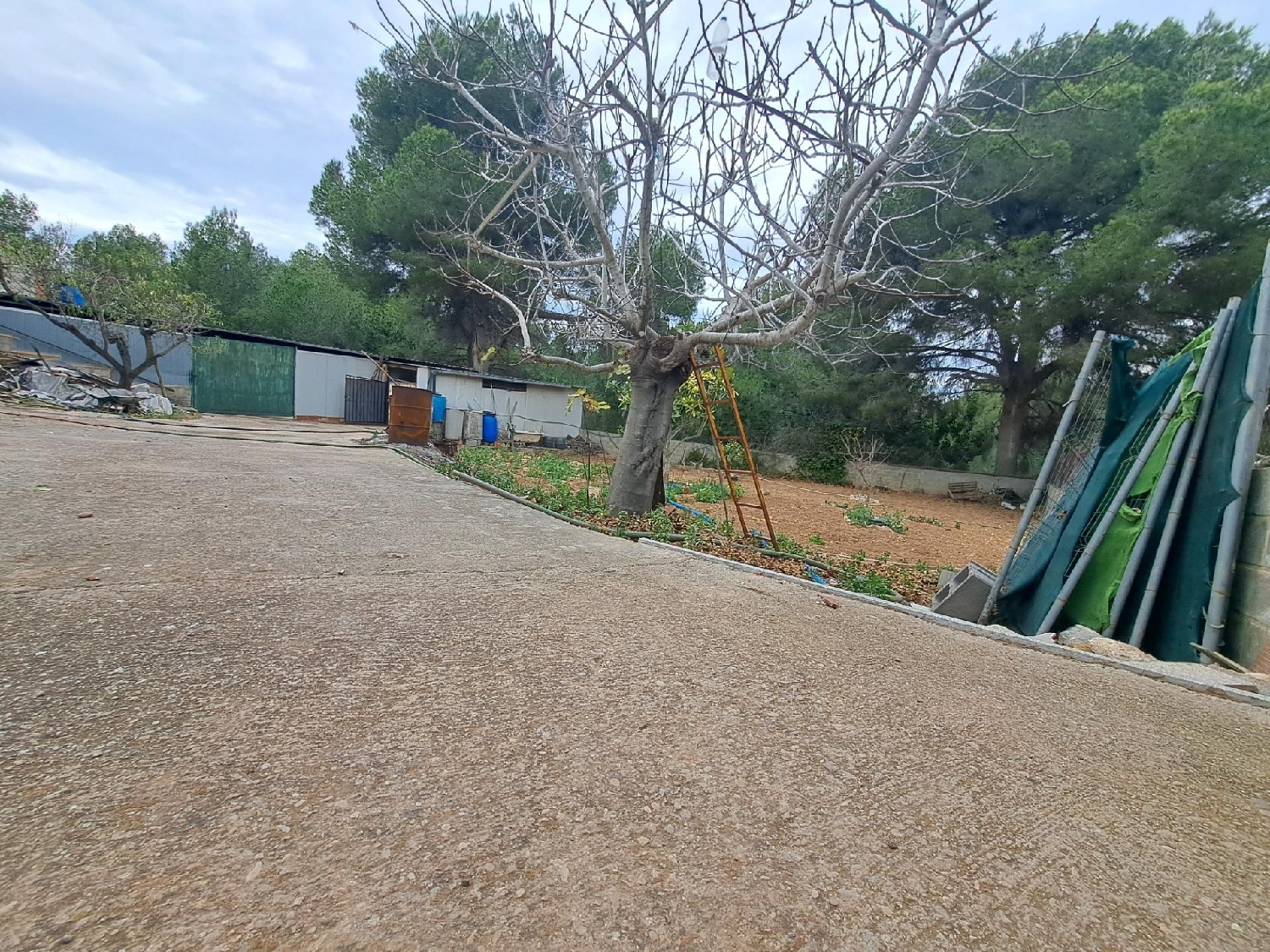 till salu tomt Colonia Motor Del Vicari Ribera Alta 3