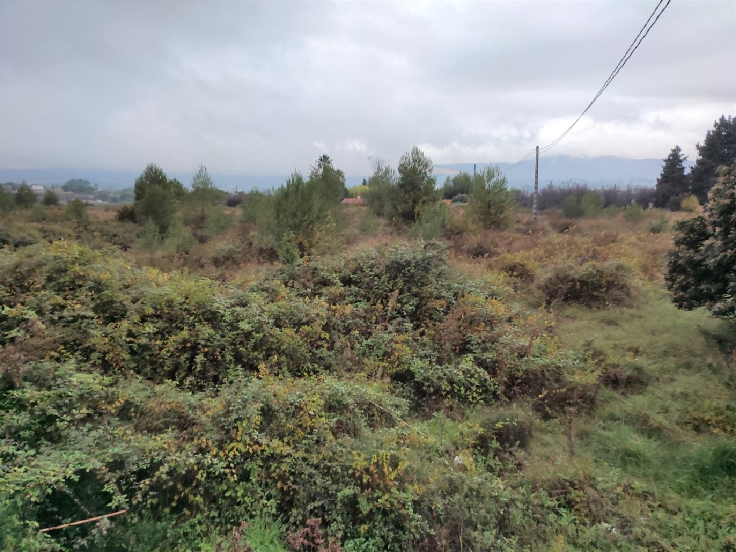  till salu tomt Corcolilla Serranos (Los) 1