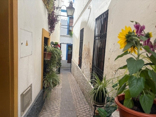 Córdoba Centro 14002 Córdoba tomt foto 6214746