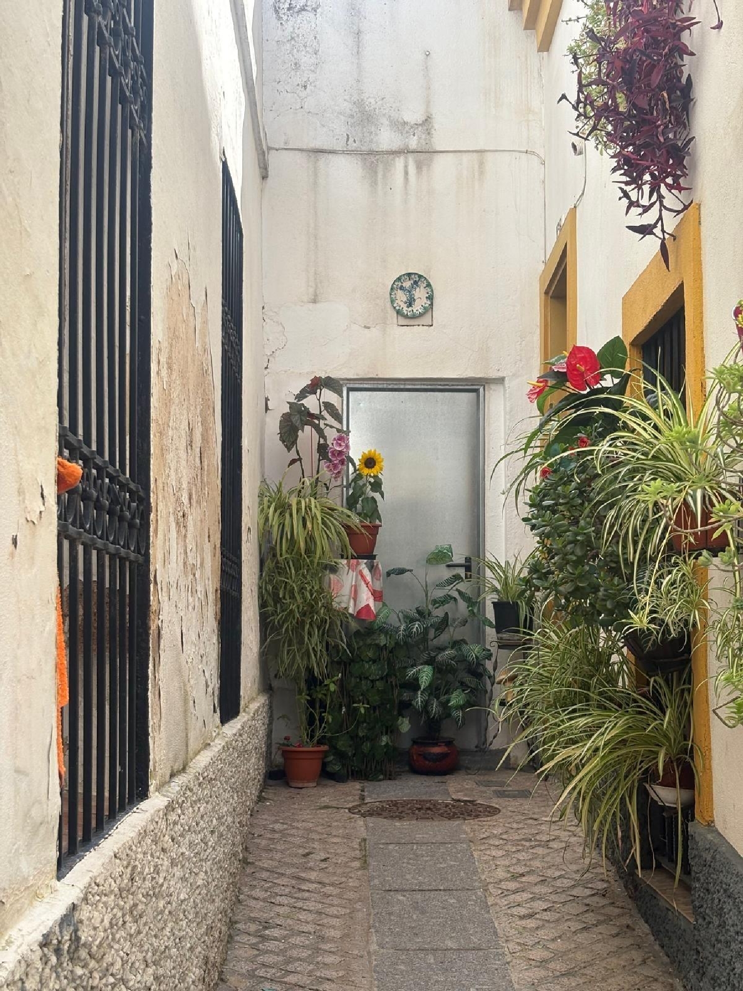till salu tomt Córdoba Centro 14002 Córdoba 3