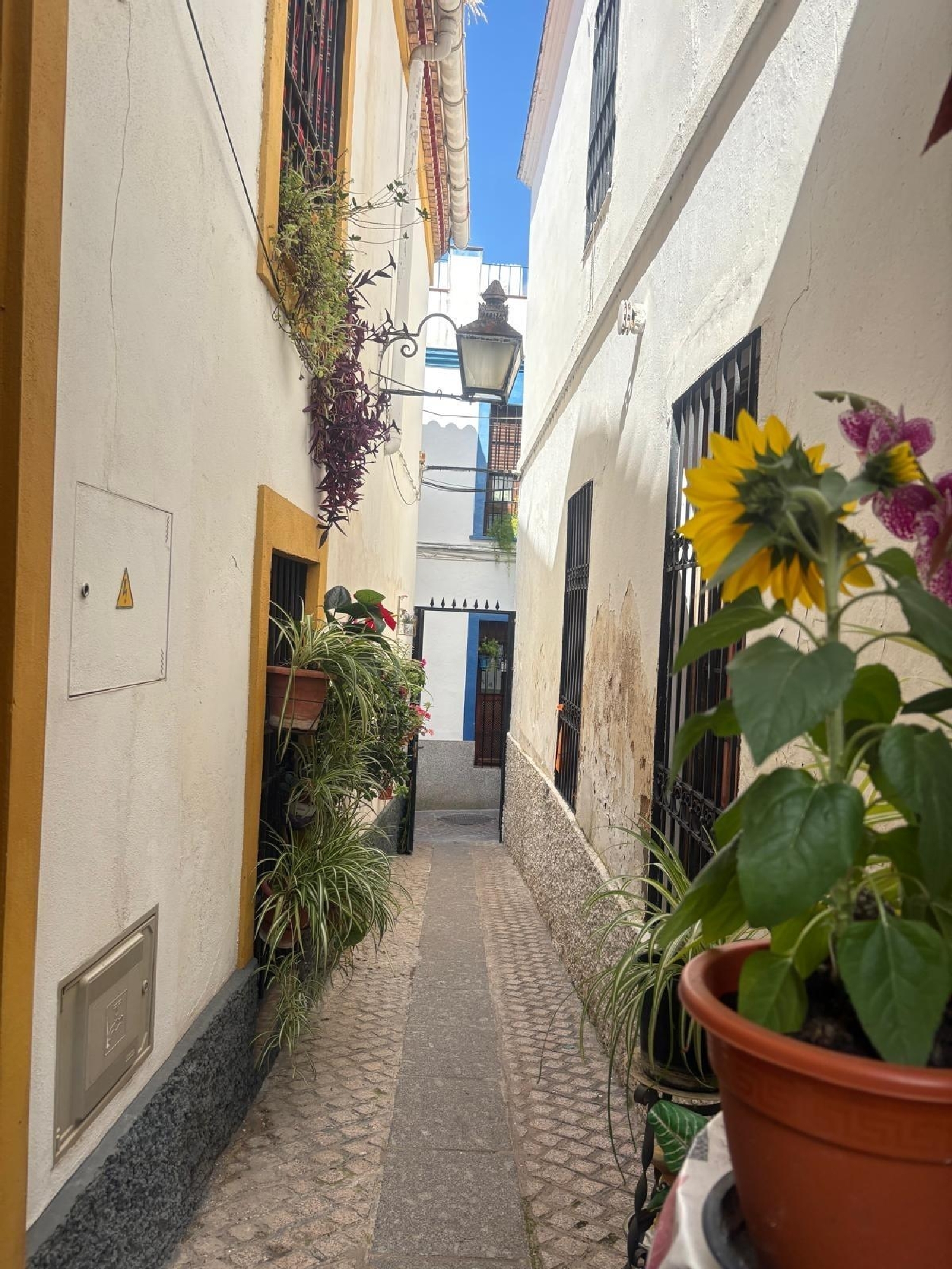  till salu tomt Córdoba Centro 14002 Córdoba 5