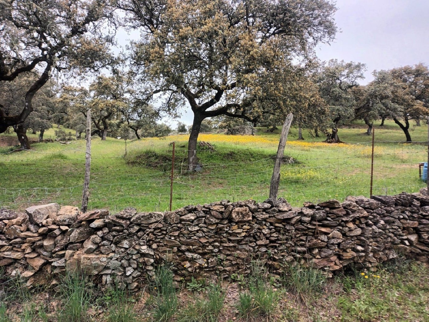  kaufen Grundstück Cortelazor Sierra De Huelva 3