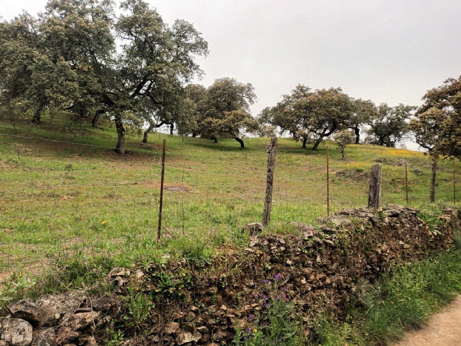  kaufen Grundstück Cortelazor Sierra De Huelva 2