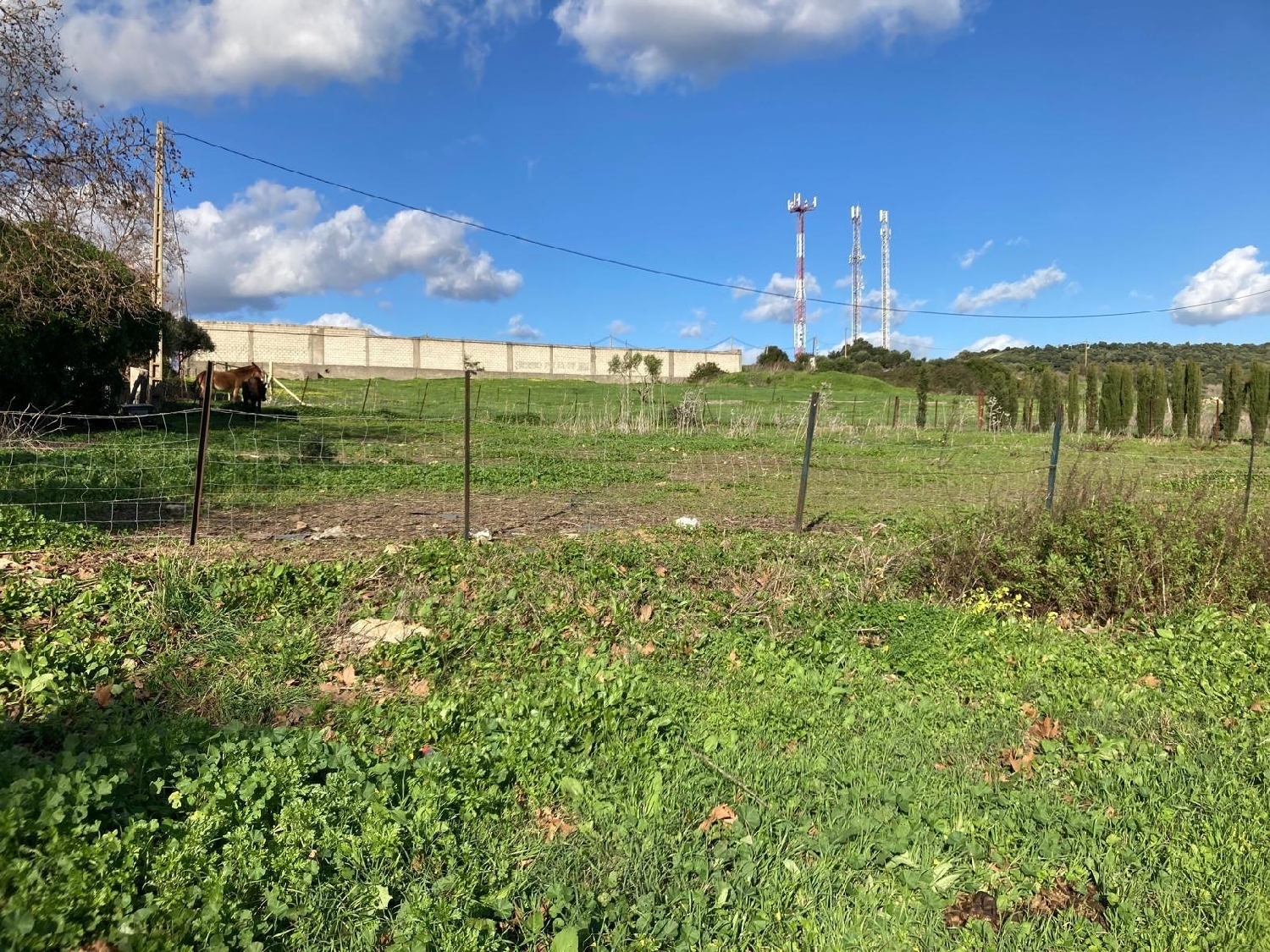 till salu tomt Cortijillos Campo De Gibraltar 2