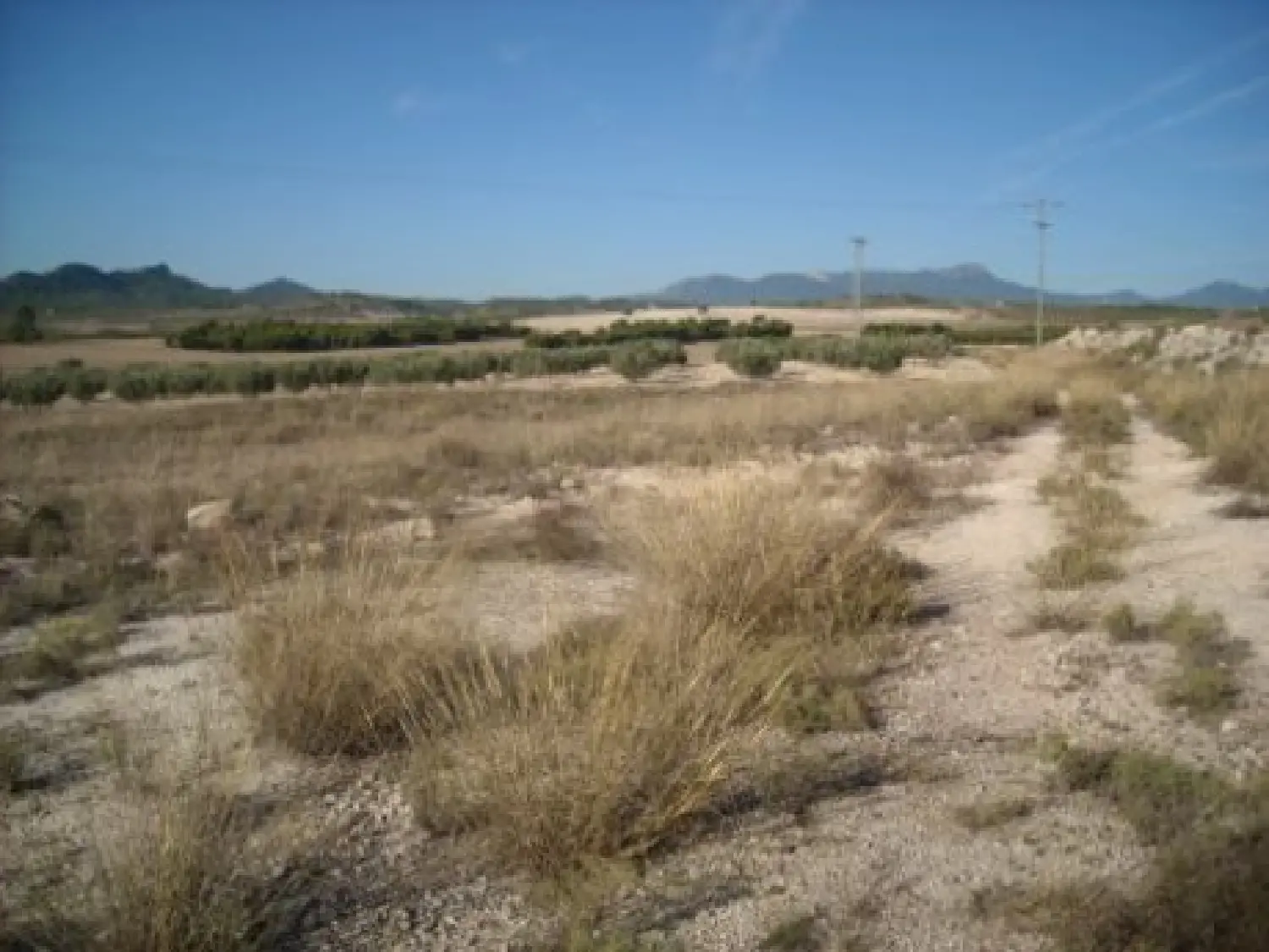  till salu tomt La Granja Noroeste 3