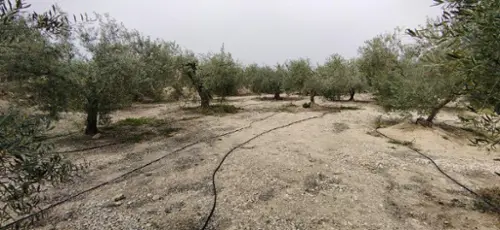 Urbanización Coto Riñales Noroeste tomt foto 6202344