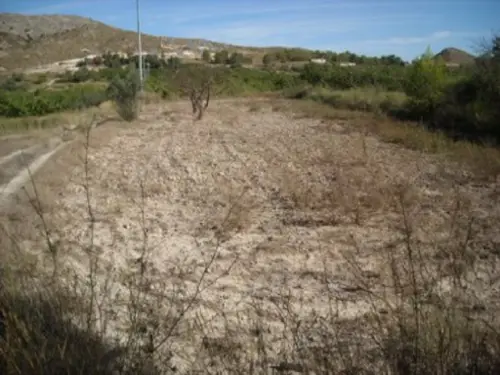 Pantano De Alfonso Xiii Noroeste tomt foto 6202423