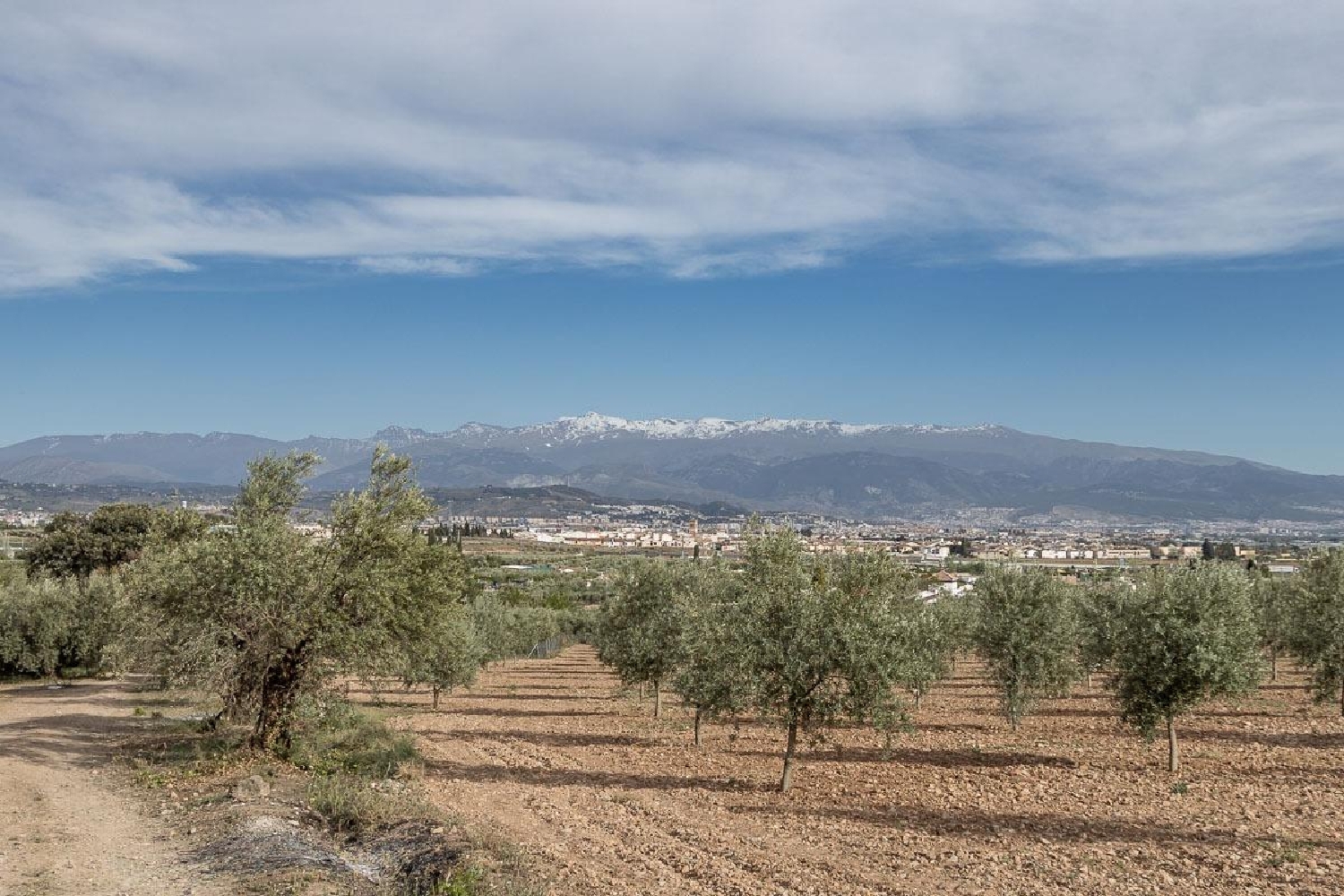  till salu tomt Cortijo Del Aire Vega De Granada 6